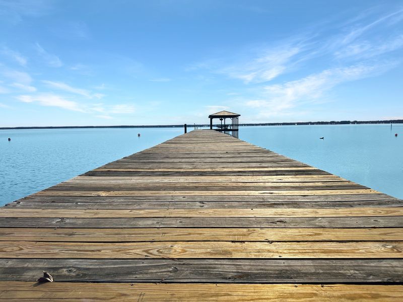 Natural surroundings and green spaces near The Bluffs at Lake Waccamaw in Lake Waccamaw, NC (Image 57).