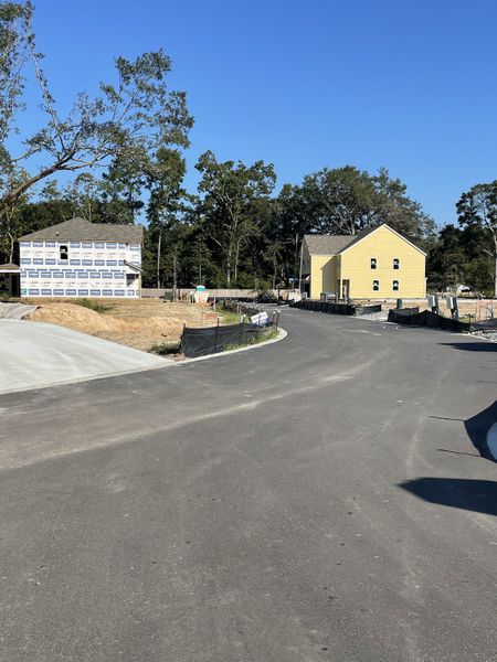Newly constructed homes on a serene street in Founders Corner by D.R. Horton, Lincolnville, SC.