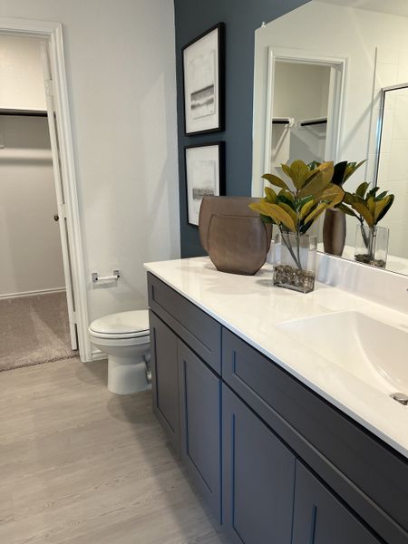 A modern bathroom featuring a sleek gray vanity, decorative plants, and framed art, leading into a closet space.