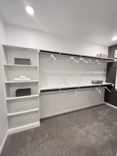 A spacious walk-in closet with open shelving, ample hanging space, and soft gray carpeting.