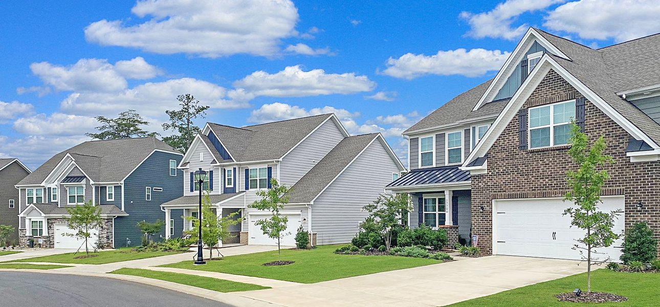 Shadow Stone Streetscape 5of15 Shadow Stone Streetscape 5of15