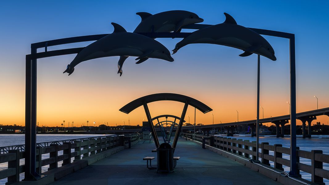 Image 42 of the Enclave at Treaty Oaks community in St. Augustine, FL.