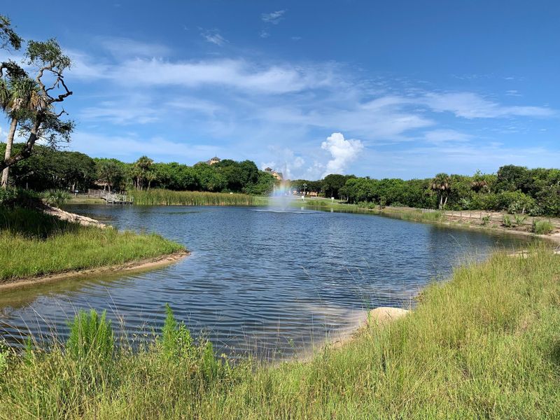 Lake Seaglass | Seaglass:Lake Seaglass | Seaglass