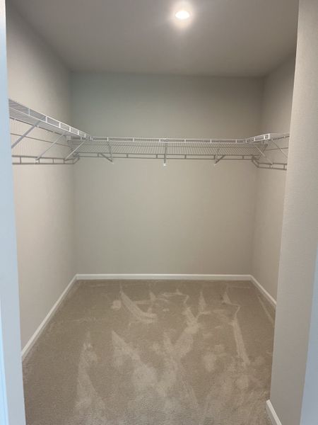 A spacious walk-in closet with plush carpeting, neutral walls, and ample wire shelving for storage.