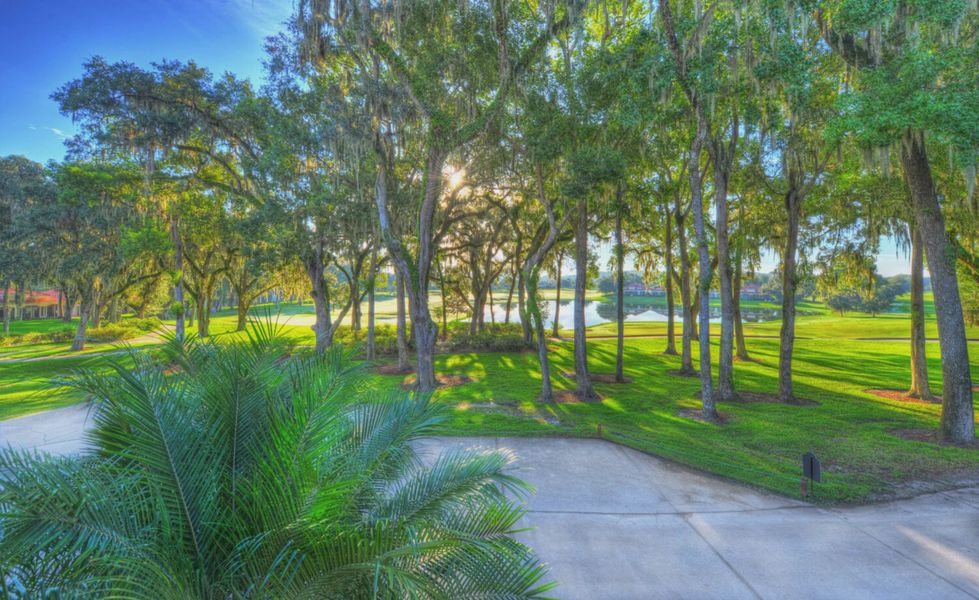 Natural surroundings and green spaces near Lake Jovita in Dade City, FL (Image 6). Natural surroundings and green spaces near Lake Jovita in Dade City, FL (Image 6).