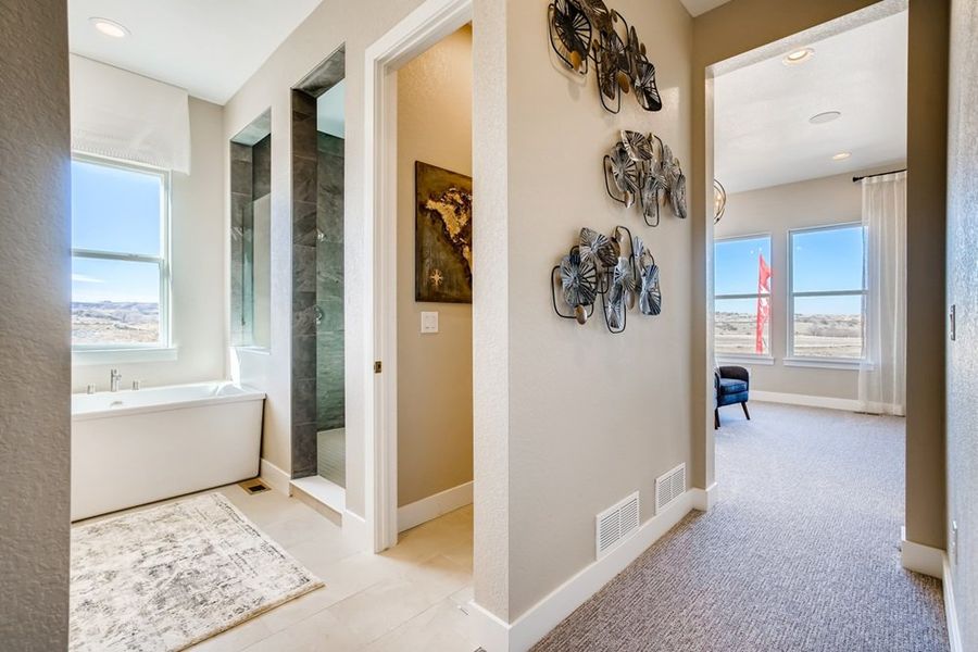 Image 92 of the Timberline Destination Collection community in Castle Pines, CO. Image 92 of the Timberline Destination Collection community in Castle Pines, CO.