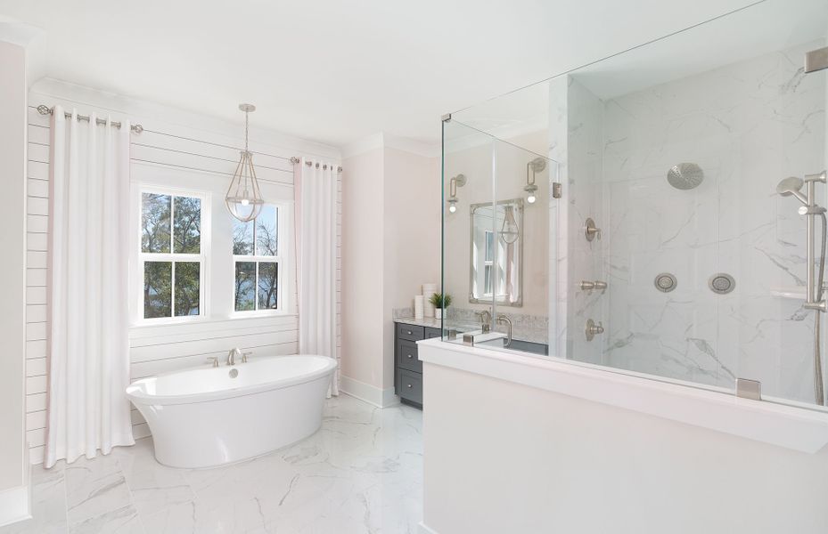Owner's Spa Bathroom