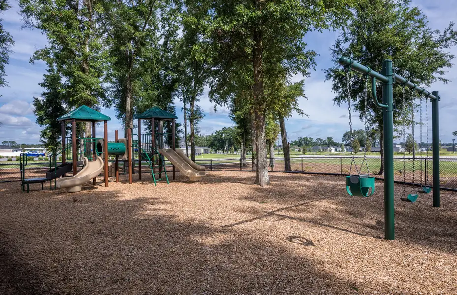 Room to Roam & Play