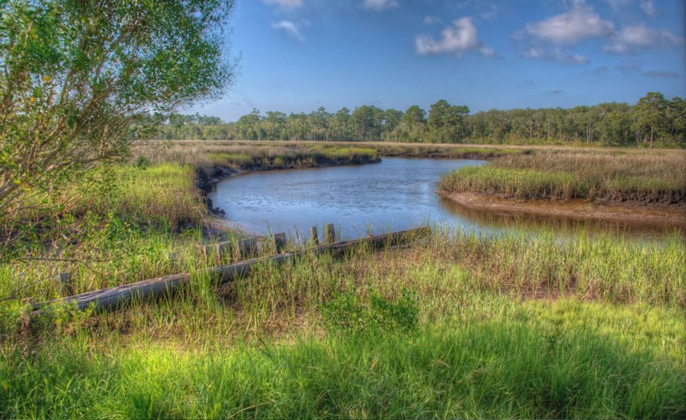 Natural surroundings and green spaces near Tidewater in Jacksonville, FL (Image 55). Natural surroundings and green spaces near Tidewater in Jacksonville, FL (Image 55).