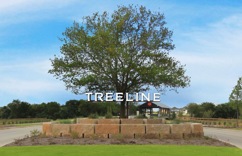 Welcome to Treeline