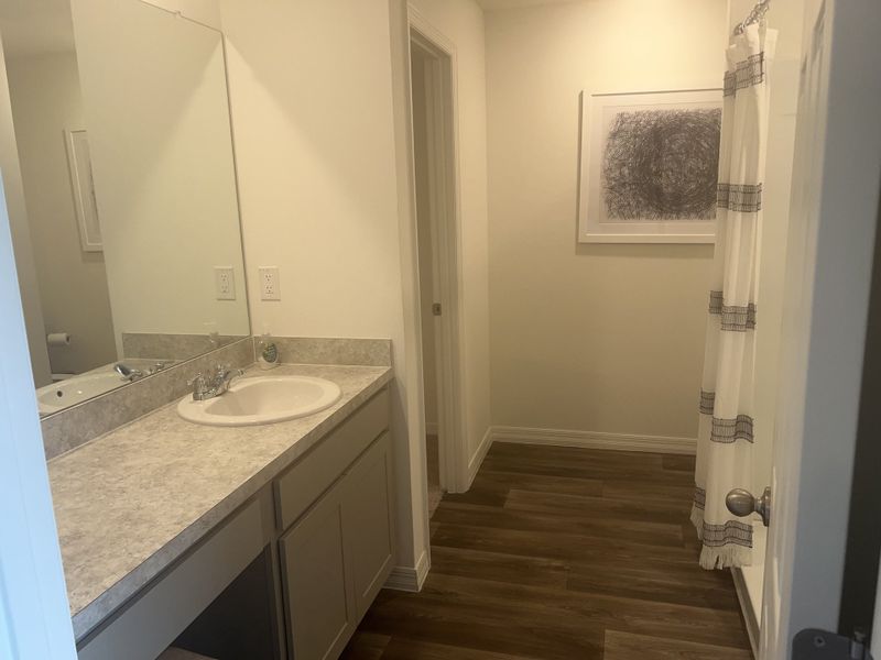 A cozy bathroom with a spacious vanity, framed art, and wood-like flooring adds warmth and style to the space.
