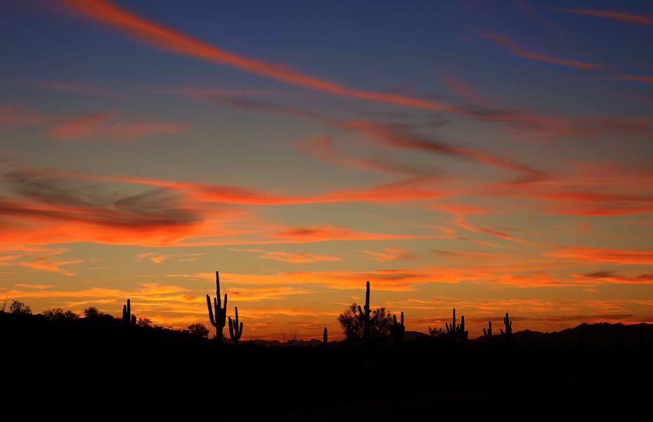 Breathtaking Desert Setting