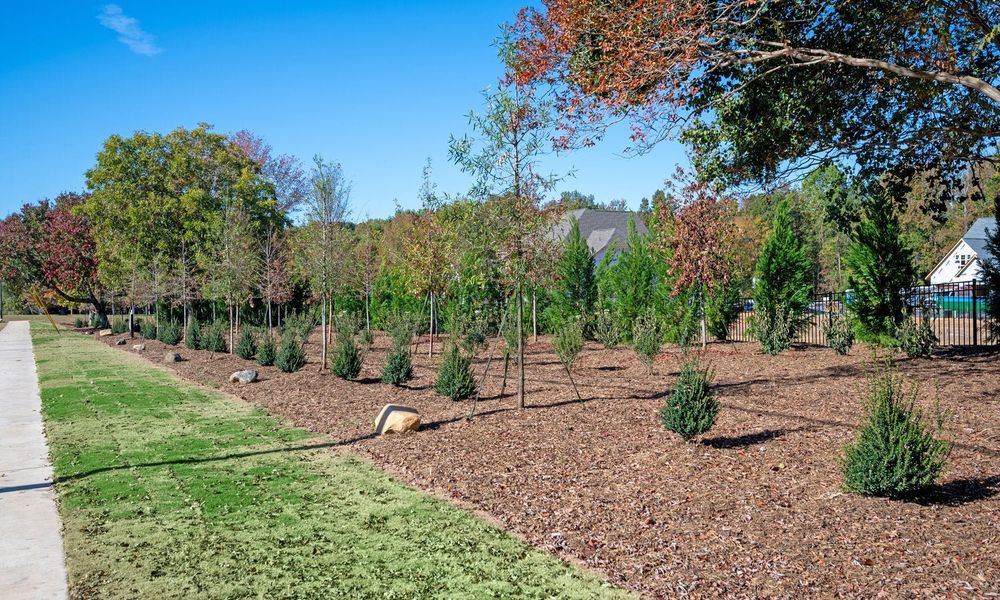 Natural surroundings and green spaces near Enclave at McKee in Charlotte, NC (Image 10).