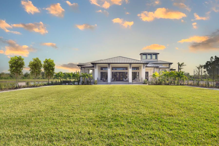 Amenity lawn Amenity lawn