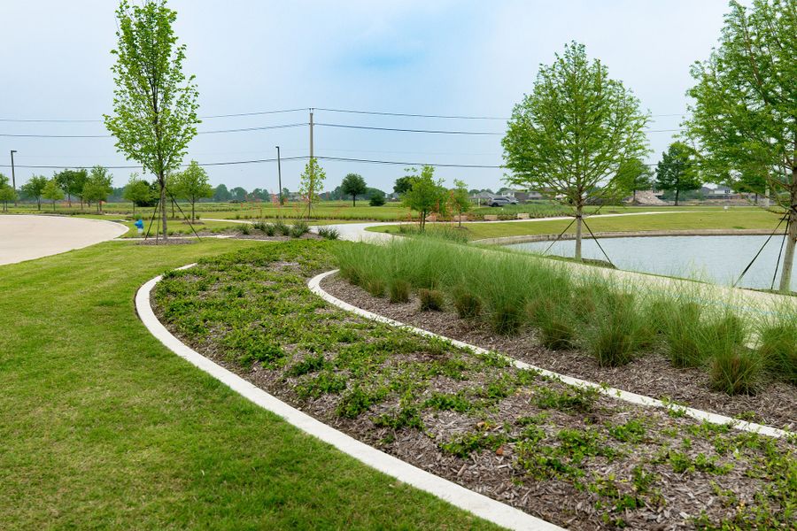 Image 117 of the Solterra community in Mesquite, TX.
