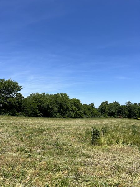 Natural surroundings and green spaces near Judah Hills in Cross Plains, TN (Image 13).