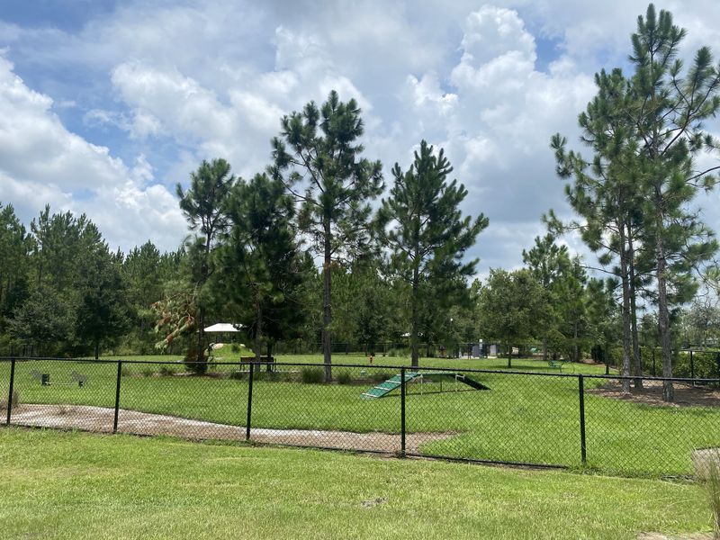 Lush green park with tall trees and open space in Shearwater: Shearwater - Single Family by Lennar (St. Augustine, FL).