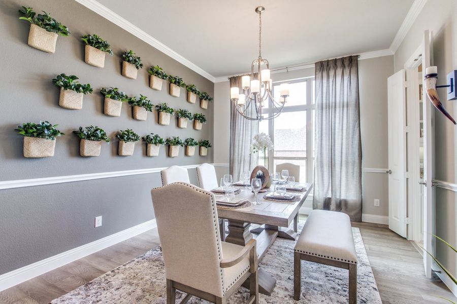 Image 12 of the Falls of Prosper community in Prosper, TX.