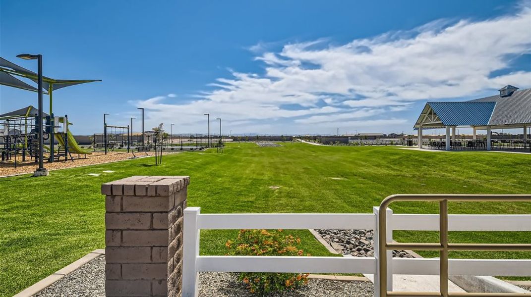 Grassy area in the community