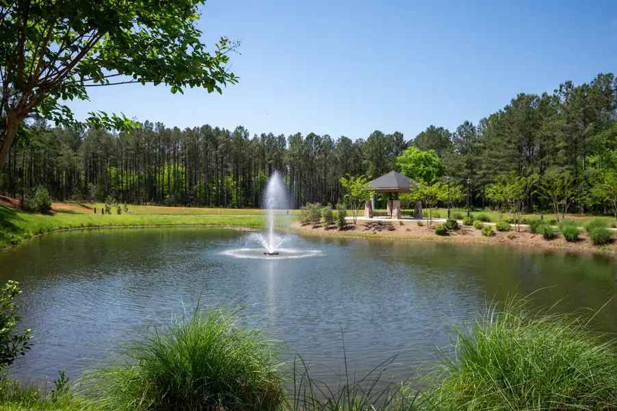 Natural surroundings and green spaces near Riverchase Estates in Lancaster, SC (Image 23).