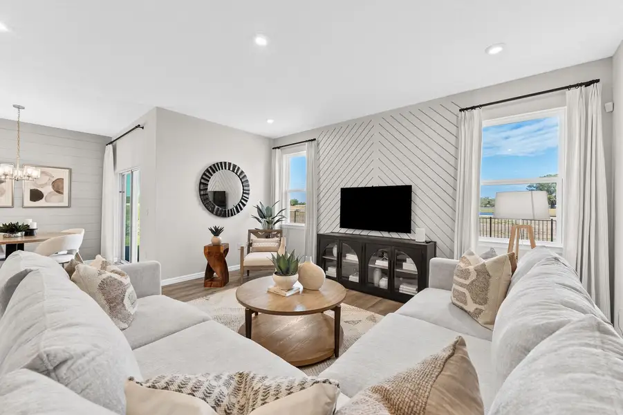 Living Rooms with Great Natural Light