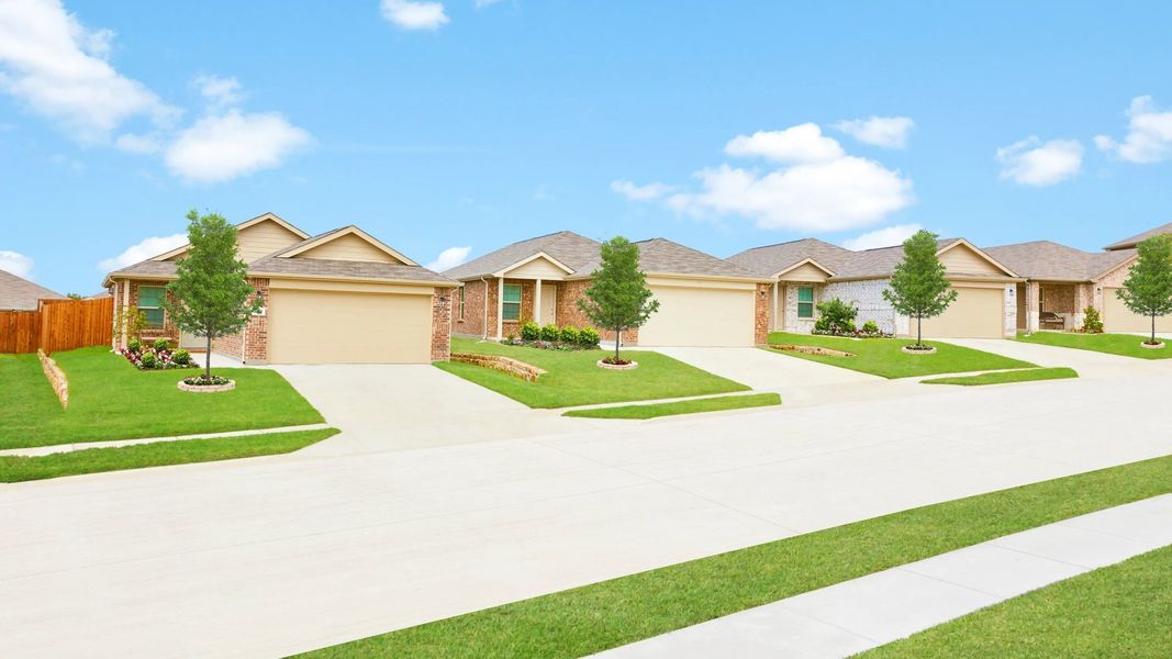 streetscape with neighborhood homes and bright green landscape streetscape with neighborhood homes and bright green landscape