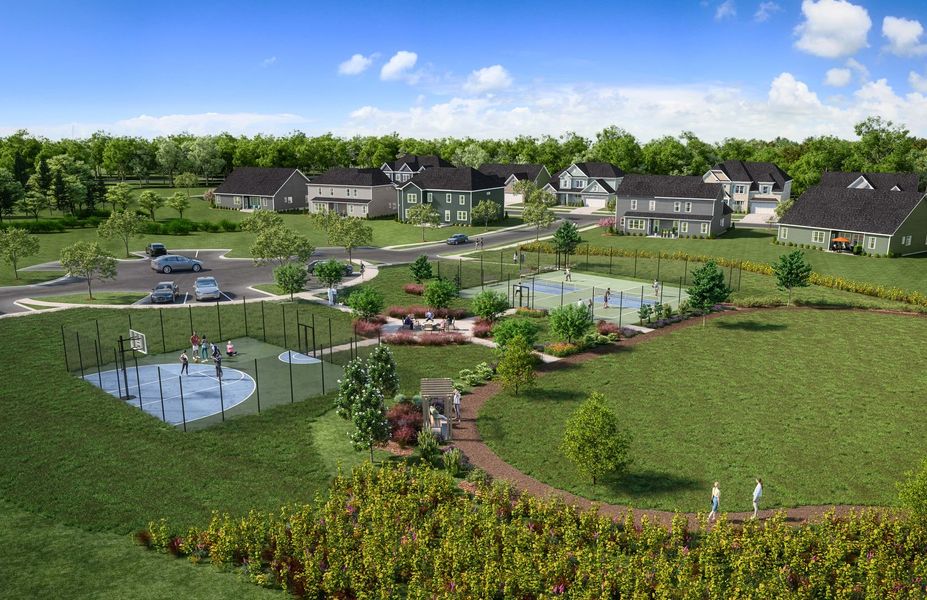 Amenity Rendering Amenity Rendering