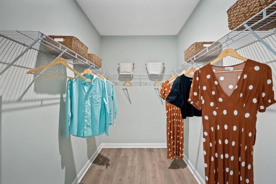 The Courtland Primary Closet The Courtland Primary Closet