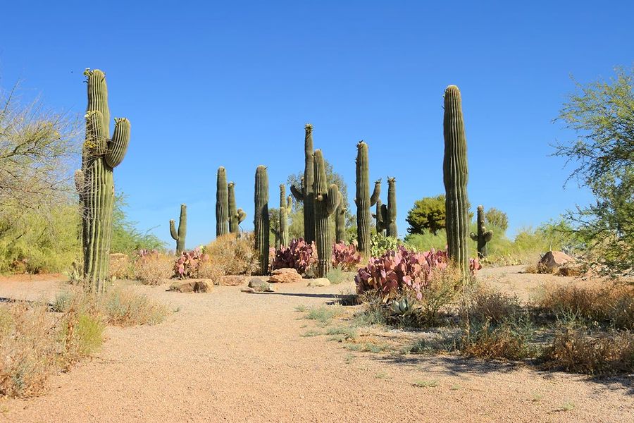 Just minutes away from local hiking trails Just minutes away from local hiking trails