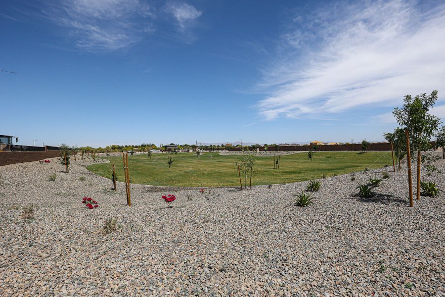 Community amenity available to residents of Landmarke in Queen Creek (Image 18).