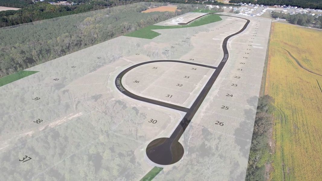 Site preparation and early development at Leander Lee Preserve in Lillington, NC (Image 29). Site preparation and early development at Leander Lee Preserve in Lillington, NC (Image 29).