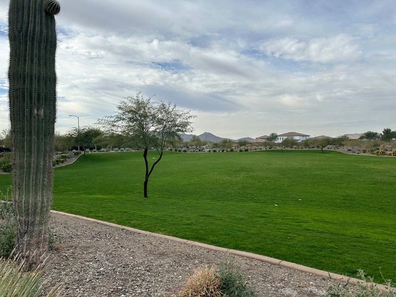Natural surroundings and green spaces near Retreat at Aloravita in Peoria, AZ (Image 8). Natural surroundings and green spaces near Retreat at Aloravita in Peoria, AZ (Image 8).