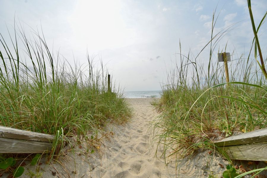 Natural surroundings and green spaces near Belvedere Plantation in Hampstead, NC (Image 24).