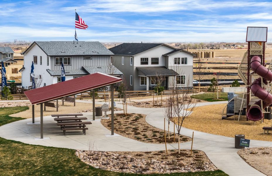 Shaded Pavillion & BBQ Grill Shaded Pavillion & BBQ Grill