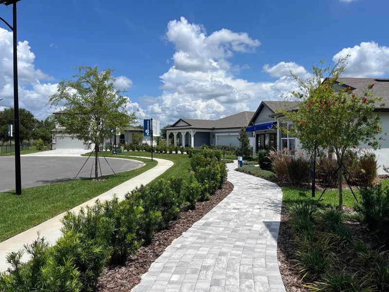 Image 10 of the Riverwood master-planned community in Zephyrhills, FL. Image 10 of the Riverwood master-planned community in Zephyrhills, FL.