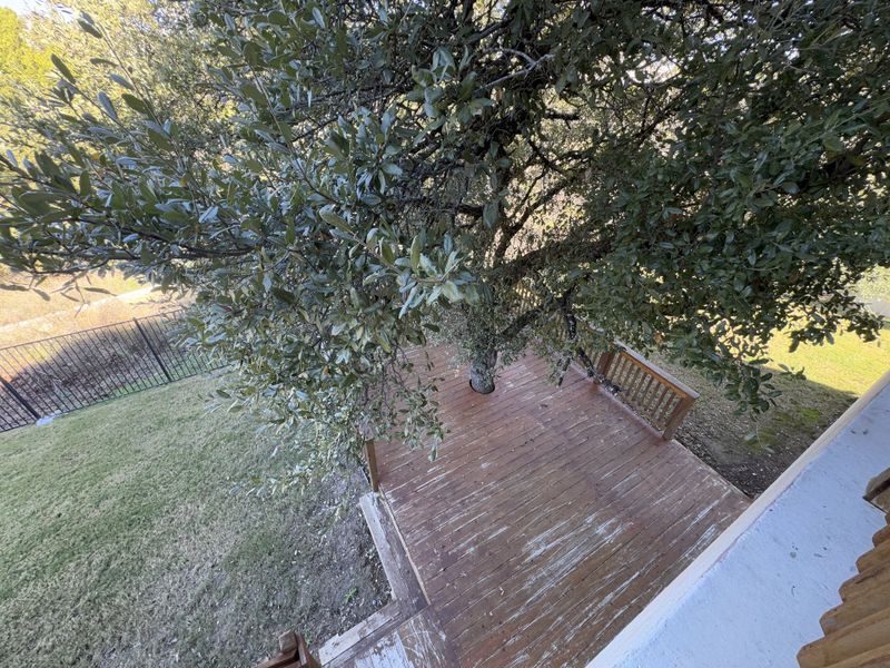A serene wooden deck shaded by lush trees offers a peaceful outdoor space. A serene wooden deck shaded by lush trees offers a peaceful outdoor space.