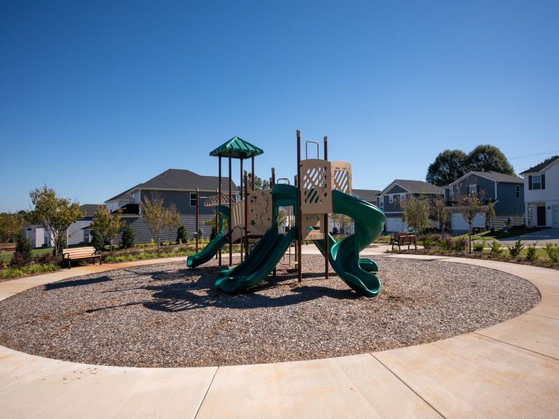 Playground at Walnut Reserve.