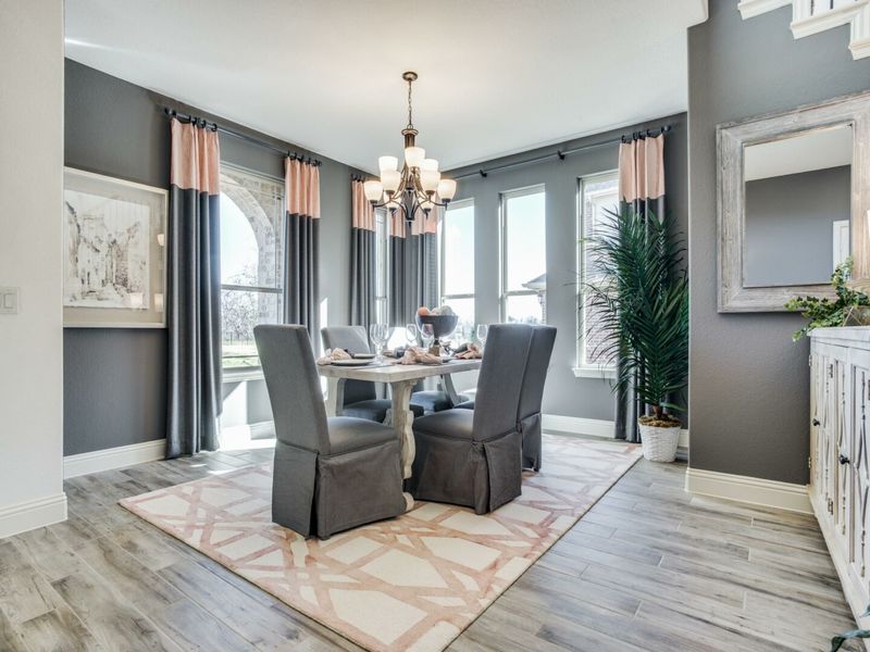 Image 11 of the Thomas Trail community in Midlothian, TX.