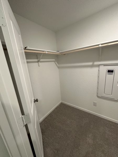 A spacious walk-in closet with carpeted flooring and white walls, featuring ample hanging rods for organized storage.