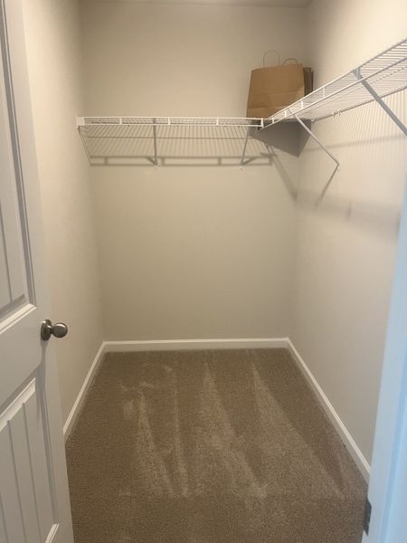 A spacious walk-in closet with plush carpeting and wire shelving, offering ample storage space.