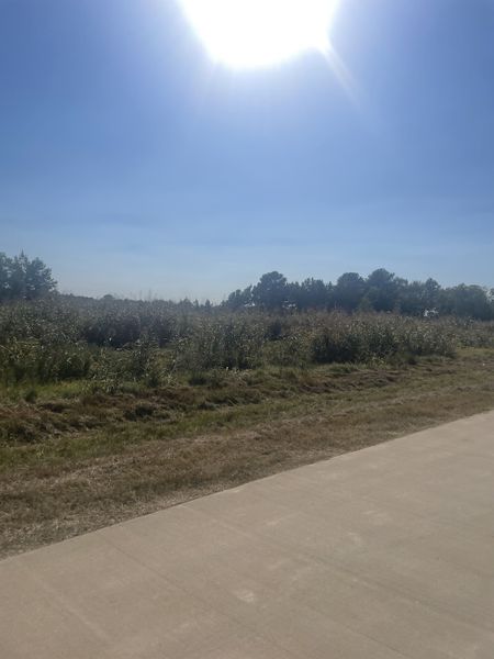 Scenic open landscape view with clear skies in Tealpointe Lake Estates by Jamestown Estate Homes (Tomball, TX).