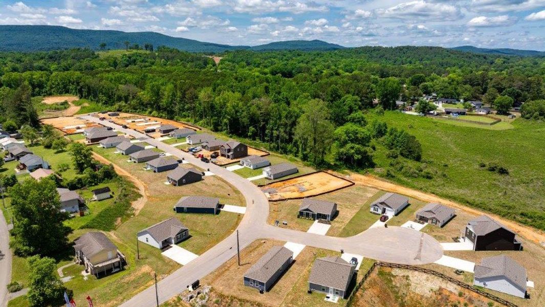 Image 13 of the Lake Terrace community in LaFayette, GA.