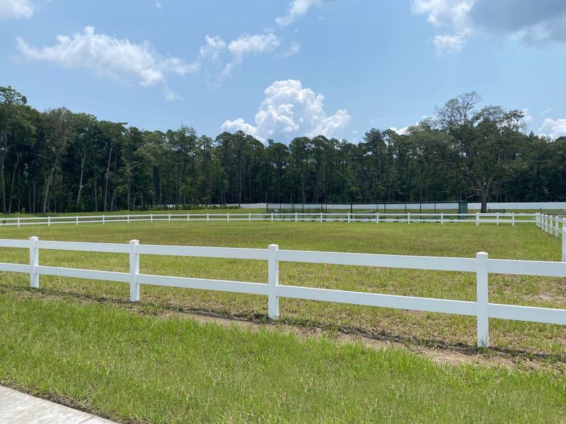Image 56 of the Sandy Bluff community in Yulee, FL.