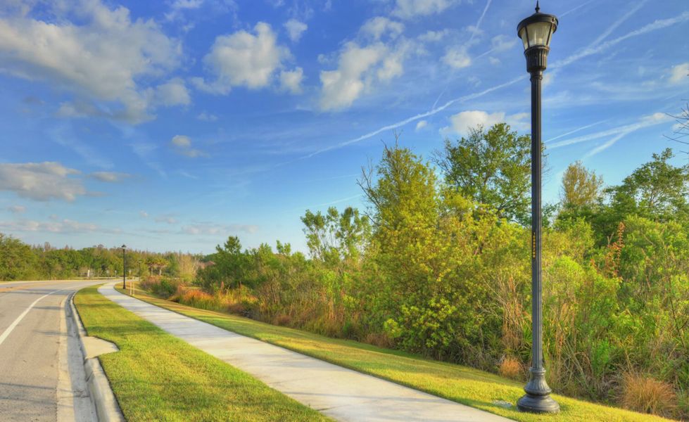 Natural surroundings and green spaces near Persimmon Park in Wesley Chapel, FL (Image 18). Natural surroundings and green spaces near Persimmon Park in Wesley Chapel, FL (Image 18).