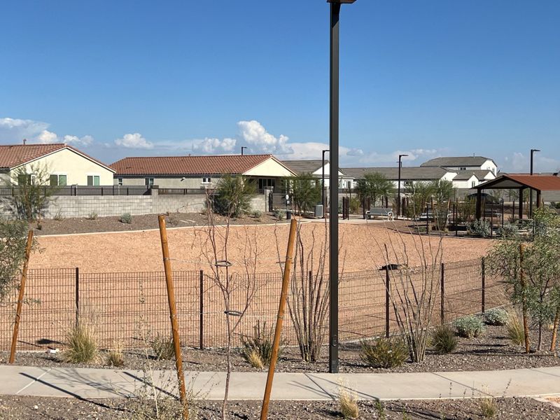 A tranquil community park with desert landscaping in Maple at North Copper Canyon by Courtland Communities (Surprise, AZ). A tranquil community park with desert landscaping in Maple at North Copper Canyon by Courtland Communities (Surprise, AZ).