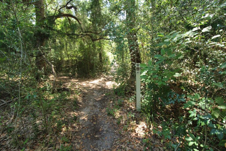 Natural surroundings and green spaces near Palm Coast in Palm Coast, FL (Image 36).