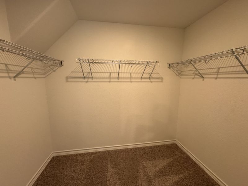 A spacious walk-in closet featuring carpeted flooring and abundant wire shelving for versatile storage solutions.
