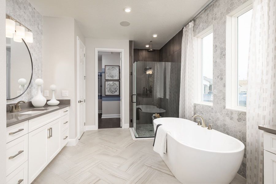 Owner's Bathroom