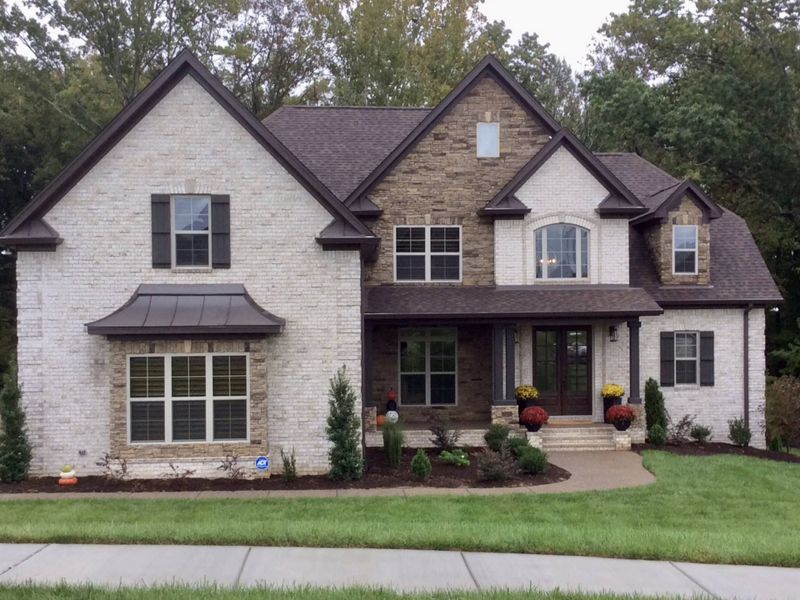 Forest of Lebanon/Ph2,37087