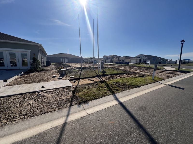 New construction homes and a manicured community layout in Seasons at Heritage Square by Richmond American Homes (Haines City, FL).